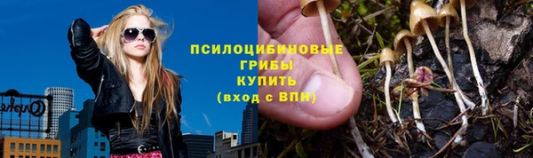 spice Фурманов