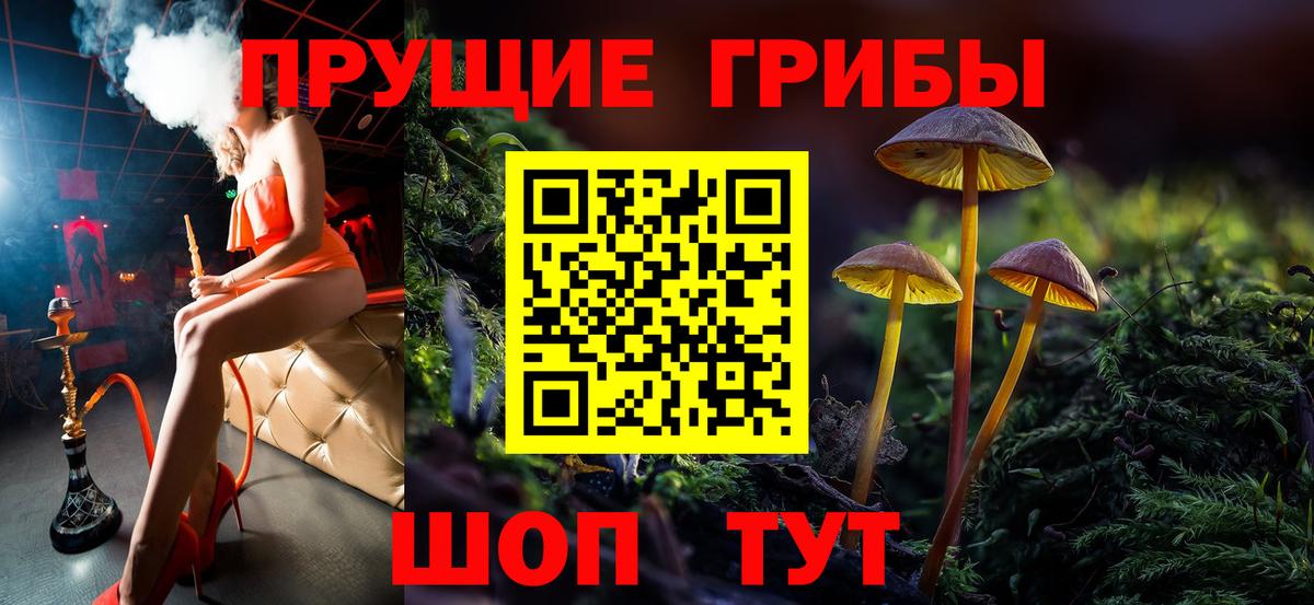 Галлюциногенные грибы Psilocybe Волгодонск