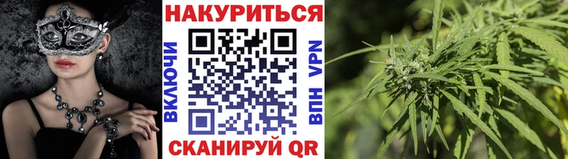 где купить наркоту  Волгодонск  МАРИХУАНА Ganja 